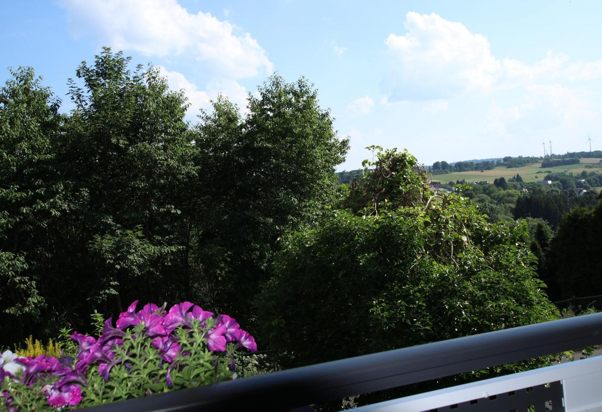 Ferienwohnung Zum Rosengarten West015 Westerwald Driedorf Bagian luar foto
