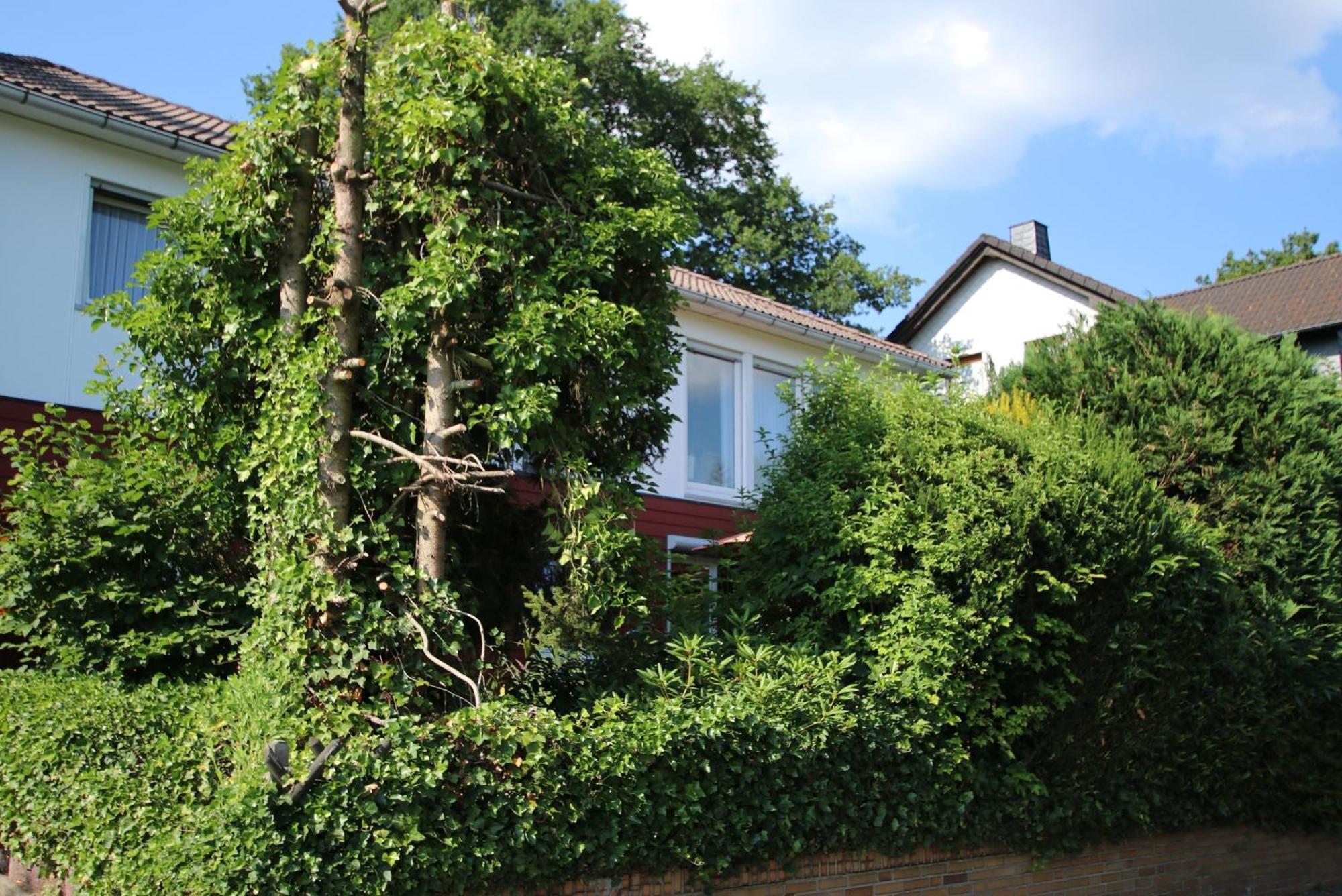 Ferienwohnung Zum Rosengarten West015 Westerwald Driedorf Bagian luar foto